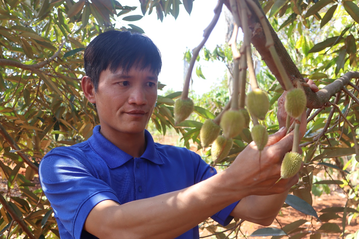  Gương Thanh niên làm kinh tế giỏi